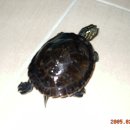 수원-0519 이미지