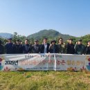 신용단감