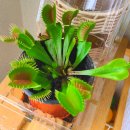 평안꽃식물원 이미지