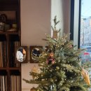 맛자랑아구찜 | 대전 크리스마스 카페 탄방동 데이트 코스디저트 맛집 빈히다이닝앤