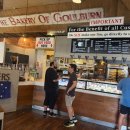 (주)뉴하이렌트카 | 호주 시드니 웜뱃안기 일일 투어 추천 지그재그투어