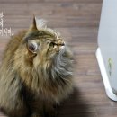 은비농장 이미지