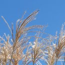 제주특별자치도 지체장애인협회 서귀포시지회 이미지