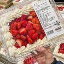 트라이플 이미지