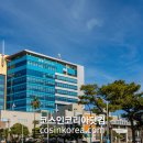 테크노6로 이미지