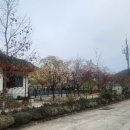 내평계곡야영장 이미지