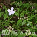 한라전설(주) 이미지