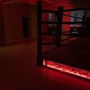 언더독 복싱 이미지