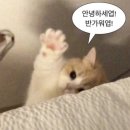 (합자)신흥택시 | 행복 지수 높은 7월-일상편🤍