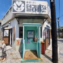 금성체육사