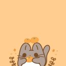 스마트팡 이미지