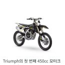 Triumph TF-450 RC 이미지