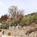 구조라해안로 이미지