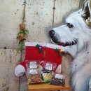 허그안리트릿 | [제주펫 X 개망초 착한공구, 착한후원 프로젝트] 수익금 후원내역 (정산 결과) 안내