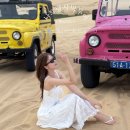 스타인목장 이미지