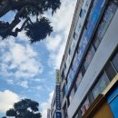 청십자내과의원 이미지