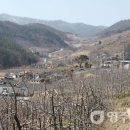 오현4리 이미지