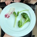 한라산중기 | 8개월 아기랑 제주 해비치호텔 조식 및 근처 표선 식당들 간단후기