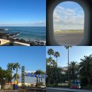 🏝️Jeju island🏝️ 2박3일 제주도 여행(해녀의집, 새별오름, 제주신라호텔, 오설록 티뮤지엄)