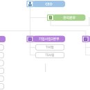 와이앤씨주 네이버블로그