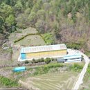 원대농장 이미지