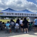 제주테우문화 | 쇠소깍 축제 속 특별한 체험, 네모나라목공교실의 테우 모형 만들기 이야기.제주목공방 제주도목공교육