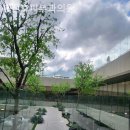 홍진호피부과의원 이미지