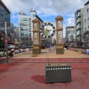 문화의 거리 및 명소화 거리 이미지