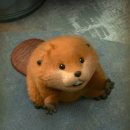 호퍼스