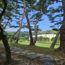 콩밭가인 이미지