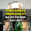 라라올라 | 라라올라 숙취해소제 대용으로 마셔본 후기, 음주 전후 언제 먹어야 숙취가 깰까?