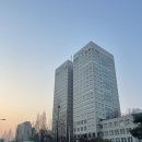 구례 산수유 축제 + 오산, 동주리봉 이미지
