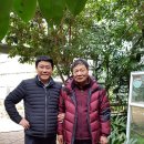 흥도초교 이미지