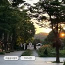 무료영화상영(라라랜드) | 서울숲에 영화보러갈사람! 한여름밤의 정원극장 가는법 · 일정