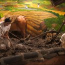 테마공원 선녀와 나무꾼 이미지