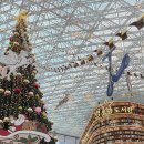 예쁜공주 | 마포눈썹 잘하는곳 디자인 예쁜 루루공주 후기