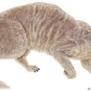 강아지와 고양이 이미지