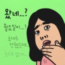 삼척종로약국