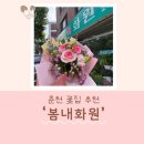 파리바게트 춘천봄내점 | 🌷춘천꽃집 추천, 우두동 '봄내화원' 방문기