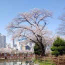 운천저수지 이미지