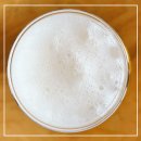 레오호프 | [맥주] 태국 맥주 레오맥주, 레오 맥주 캔, 태국 맥주 판매 1위, 치앙마이 맥주