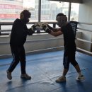 용인대W복싱짐 이미지