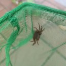 여성수련원 | 강릉정동진숙소추천 한국여성수련원 가성비대만족 나만알고싶은곳! 내돈내산
