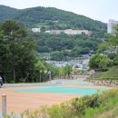 하울참옻닭
