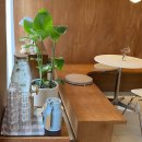 태림시술원 | 춘천 조양동 맛집 빌리비브런치카페 파스타 추천