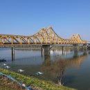 남지횟집 - 창녕군 종로 60 | 남지횟집