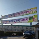 참사랑태권도교육관 이미지