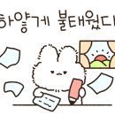 꿀잼오락실 이미지