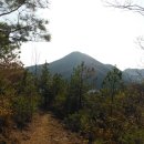 귀인아파트 Daum카페