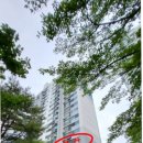 주공아파트 이미지